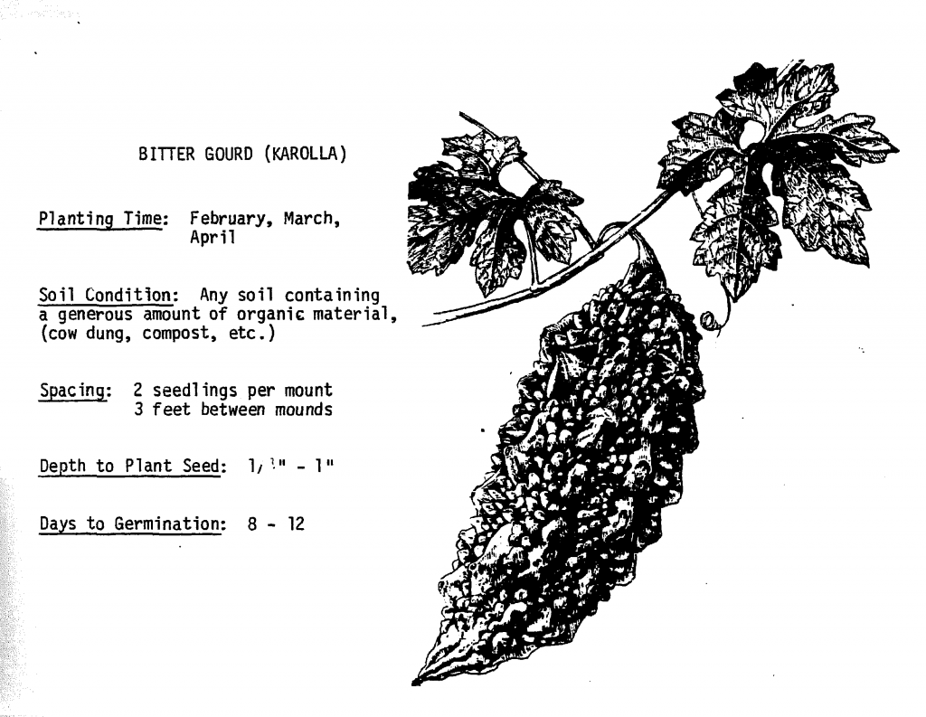 Black & white illustration of a bitter gourd (karolla) with text describing how to plant it.