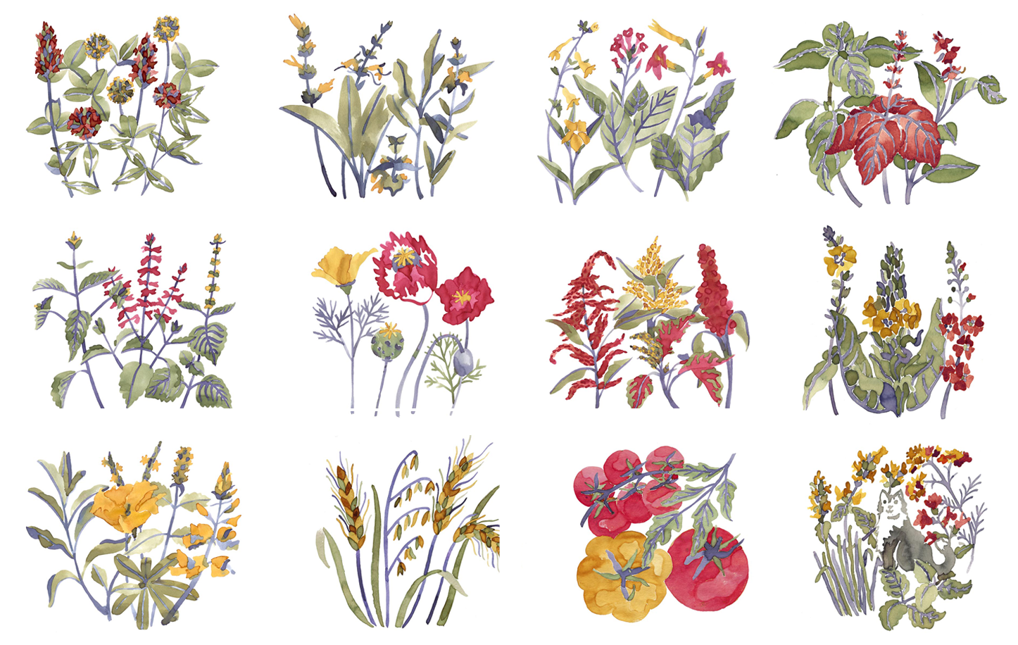 A grid with twelve watercolor paintings of plants by Goda Trakumaite. Most depict flowers, with wheat and tomatoes included on the bottom row.