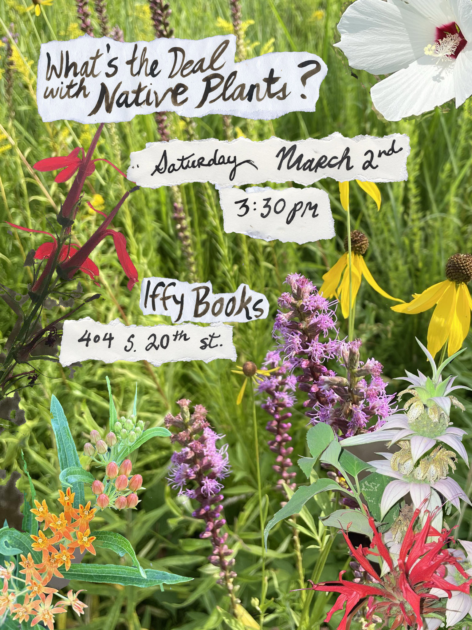 Flyer with a collage of native flowers and the following text handwritten using black walnut ink: What's the Deal with Native Plants? / Saturday, March 2nd / 3:30 pm / Iffy Books / 404 S. 20th St.