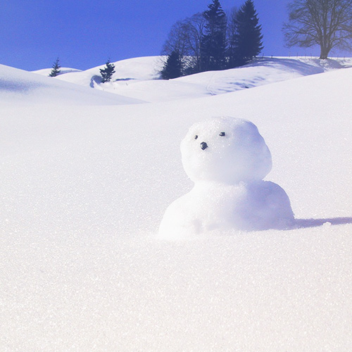 Photo of a snow person half-buried in a snowy field